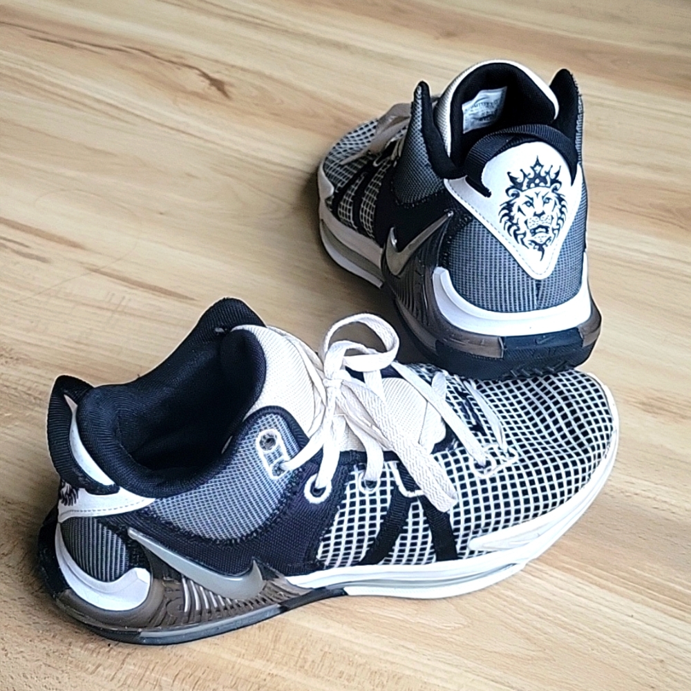 LeBron Witness Men's shoes